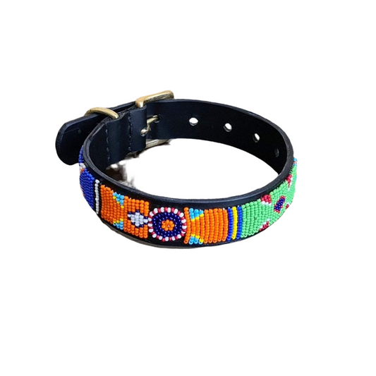 Maasai - Collier de chien